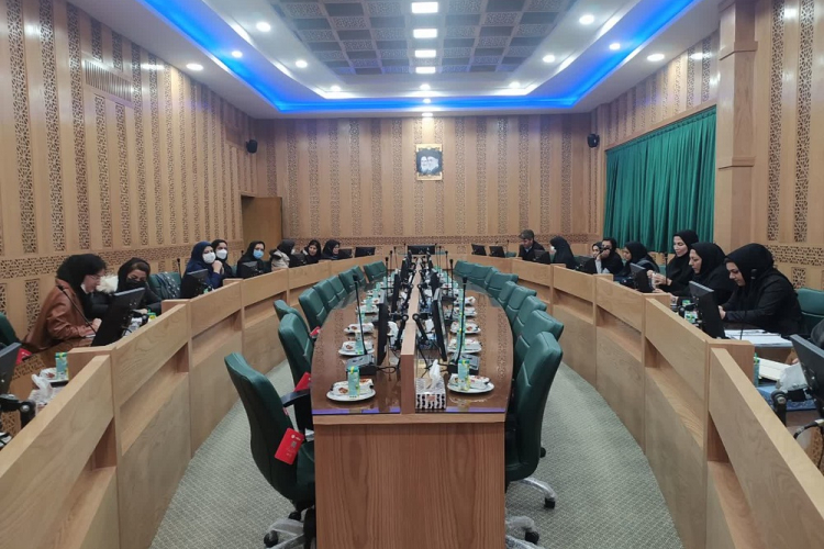 برگزاری کارگاه آموزش پروپوزال نویسی طرح محصول محور